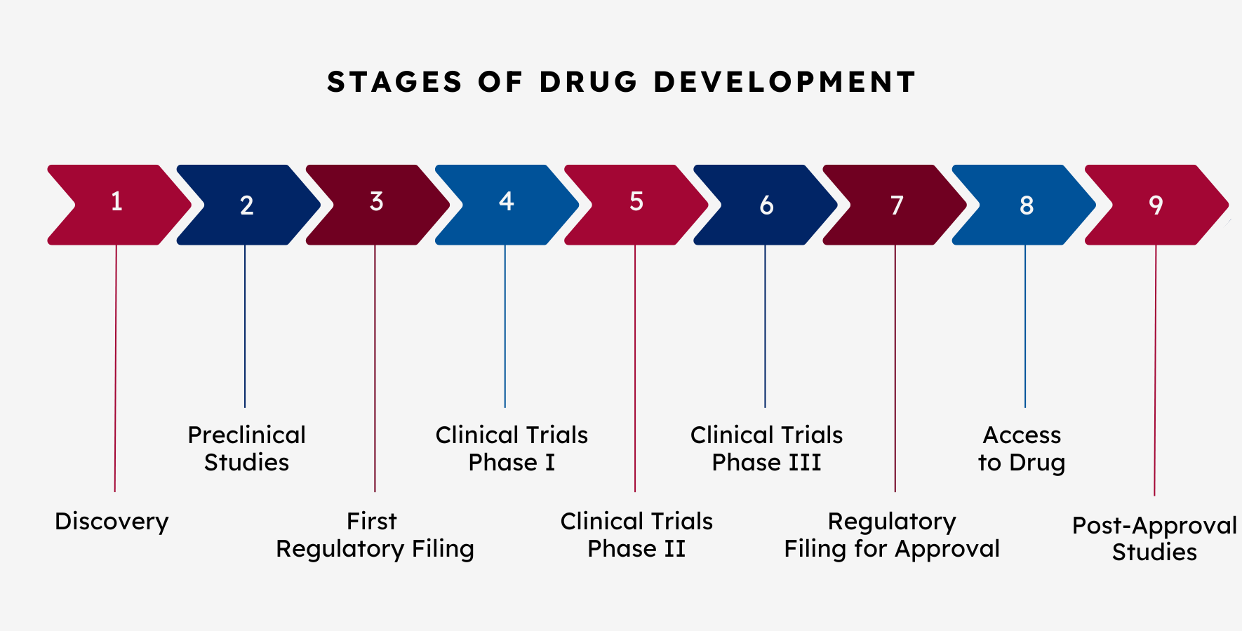 Stages of Drug Development - Friedreich's Ataxia Research Alliance